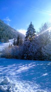 FATRAPARK 1 U SOVIČKY štúdio, kuchynka, kúpeľňa,s balkónom grátis parkovanie v podzemnej garáži