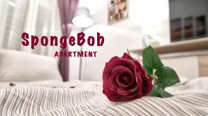 SpongeBob Apartment - Wien