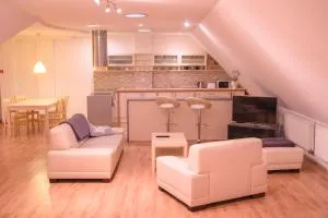 Old Town Apartment - 特伦钦