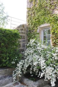B&B / Chambres d'hotes Domaine De Frevent : photos des chambres