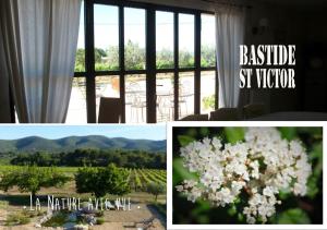 B&B / Chambres d'hotes Maison d'hotes Bastide St Victor a 2,5 kilometres de Lourmarin : photos des chambres