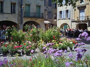 Appartements Le Sabotier : photos des chambres