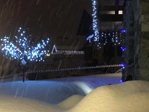 Appartamento Fleur Des Neiges