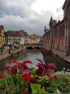 Maisons d'hotes Le Domaine De Pairis : photos des chambres