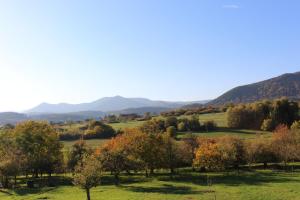 Maisons de vacances Le Clos du Haslach : photos des chambres