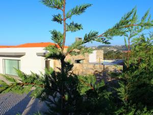 obrázek - Alluring Villa in Salir de Matos with Private Pool Garden and Coast Nearby