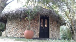 Turtle Watch Cabana