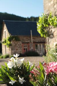 B&B / Chambres d'hotes Moulin des Borderies : photos des chambres