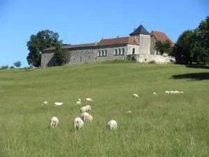 Nature et Piscine au sommet du Périgord - Cherveix-Cubas
