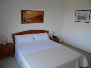 Superior Double Room with Balcony room in Hotel Veneto