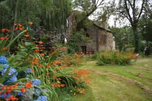 B&B / Chambres d'hotes Le Moulin du Bignon : photos des chambres