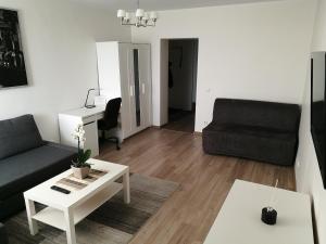 Vilnius Town Apartment
