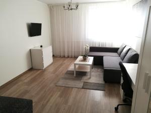Vilnius Town Apartment
