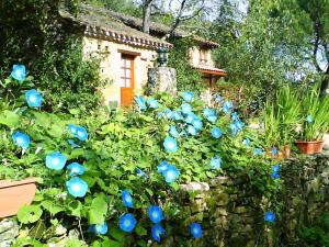 Gites Domaine de Gavaudun : photos des chambres