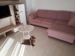 Apartment Dragan