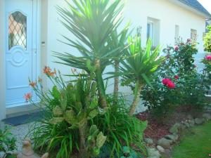 Pension Les Hydrangeas Plougastel-Daoulas Frankreich