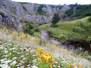 Pension Domacinstvo Izvor &Scaron;tavalj Servie