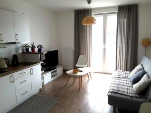 White Swan Apartment