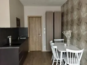 Zlatý Apartmán - Velká Morava