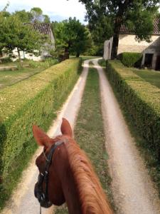 Chemin de la Vayssade, 46230 Lalbenque, France.