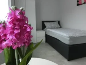 Zimmer Enzjan - Illingen