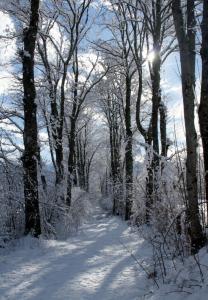 Holiday Home Smiljan