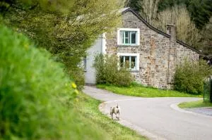 Harry's Place - Chéoux