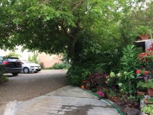 Appartamenti & Rooms Maria img14