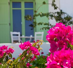 Naoussa Bay Villas Paros Greece