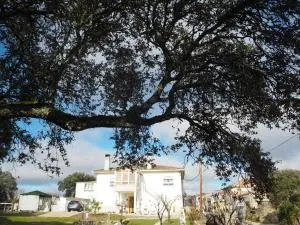 Villa Entre Encinas - Рикобайо