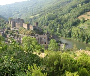 Maisons de vacances La Bruyere : photos des chambres