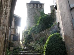 Maisons de vacances La Cardabelle : photos des chambres