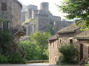 Maisons de vacances La Cardabelle : photos des chambres