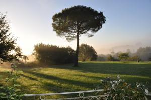 B&B / Chambres d'hotes Chateau Le Tour - Chambres d'Hotes : photos des chambres