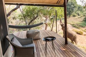 Greater Makalali Private Game Reserve, near Hoedspruit, South Africa .