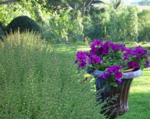 B&B / Chambres d'hotes Chateau de Thegra : photos des chambres