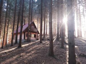 Chata Chata Adavy Liptovský Ján Slovensko