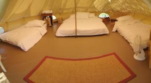 Tent room in OK Koral Nature Holidays