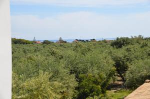 Anemona Apartments and Studios Zakynthos Greece