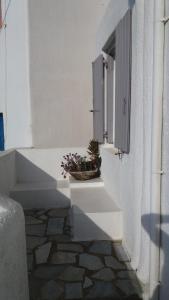 Manos Rooms Myconos Greece