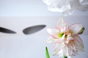 Architectural City Loft