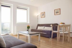 Apartamenty Kamienna z widokiem na góry i 2 km do Wyciągu Skolnity - Dream Apart