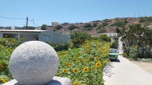 Eleni Studios Kos Greece