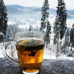 Chalet Shepit Karpat