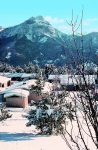 VTF Le Pigneroux - 雷阿隆