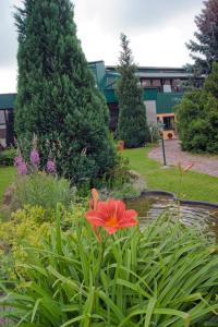 Landhotel Harz