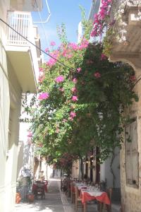 Quiet spacious apartment in Nafplio Argolida Greece