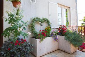 Holiday House Marica