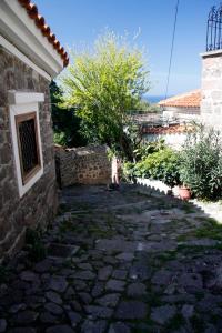 Nianthi Apartments Lesvos Greece