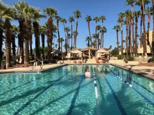 Palm Valley CC Pickleball, Tennis, Athletic Club, Pools 2 Bdrms Den 2 Ba - Palm Desert
